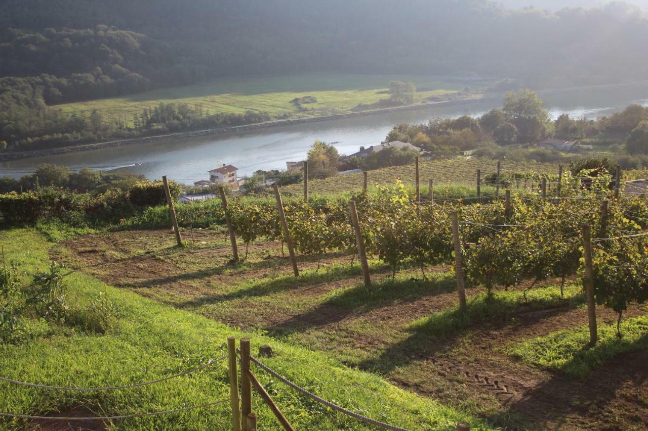 Casa Rural Erretzabal Txiki Affittacamere Orio Esterno foto